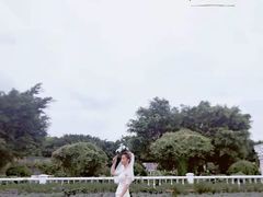 -百万葵园