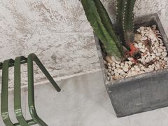 -边渡咖啡烘焙店(昙华林店)