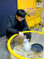 -神奇动物撸宠馆·羊驼·小浣熊·异宠(豫园店)