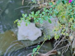 -金庭庄园酒店-停车场