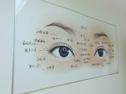 -丰联丽格医疗美容·联合丽格眼整形中心