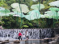 -石台牯牛降景区