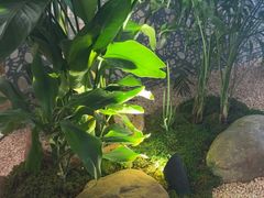 -相遇·川湘融合菜(丹阳吾悦广场店)