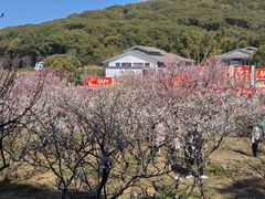 -无锡梅园公园