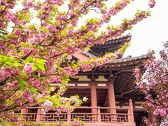 -西安青龙寺遗址景区