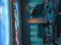 -瑞德姆美人鱼海底演艺主题餐厅(亚龙湾店)