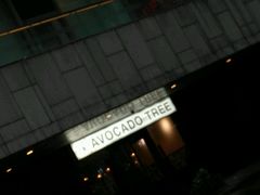 -油梨树 AVOCADO TREE(亮马桥店)
