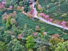 -无量山自然风景保护区