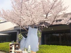 -苏州独墅湖世尊酒店