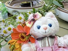 -桤木河湿地公园