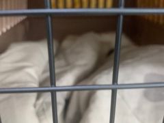 -北京赛佳动物医院