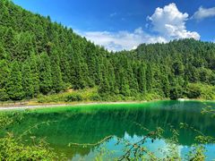 -武陵山森林公园