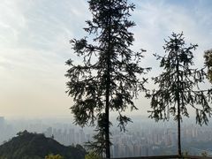 -南山植物园