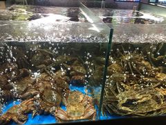 -蟹之国·精品蟹料理(极地店)