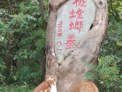 -贮水山儿童公园