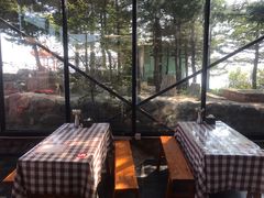 -白草畔自然风景区