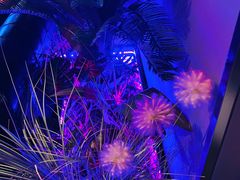-粉墨特色菜·烧烤音乐酒馆