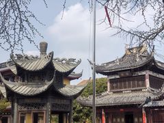 -上海青龙寺