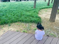-仁和公园(顺义区)