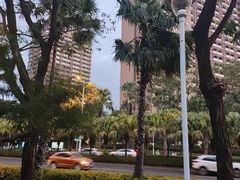 -三亚湾红树林度假世界(木棉酒店)