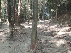 -火炉山森林公园