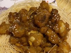 -陶缘一号·四季缘·老字号顺德菜·户外婚礼家宴(西滘店)