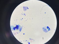 -宠颐生嘉德动物医院
