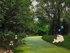 -长白岛森林公园