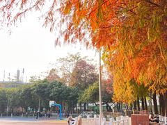 -广东外语外贸大学(白云山校区)