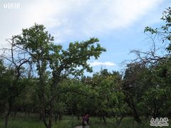 -新疆天山野生动物园