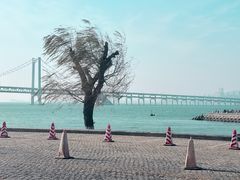 -川旺角融合菜•海景餐厅(星海广场店)