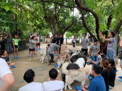 -TrueLove @ Neverland (Husky Cafe)