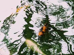 -三里河公园