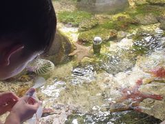 -嘉兴海底世界