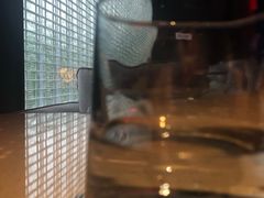 -白泽酒吧
