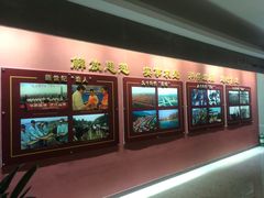-华西村