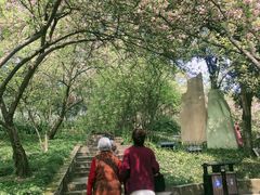 -南山植物园