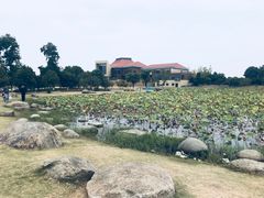 -滆湖低碳生态公园