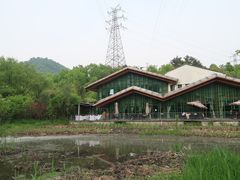 -西湖风景区-江洋畈生态公园