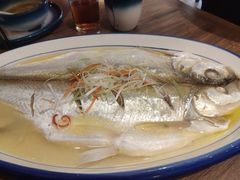 清蒸鲜白鱼-锡和无锡菜(景丽苑店)