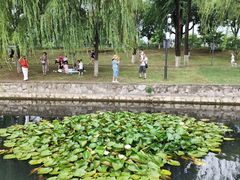 -岗子村(地铁站)