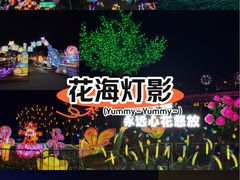 -国际非物质文化遗产博览园