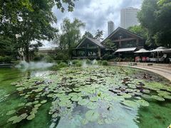 -静安公园(静安寺街道)