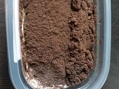 -85度C(广州石牌桥店)