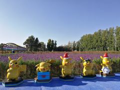 -金塔沙漠胡杨林景区