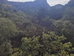 -磬锤峰森林公园