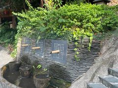 -观澜山水田园