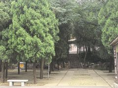 -龙口南山旅游景区