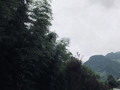 -东天目山风景区