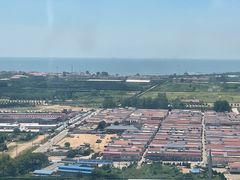 -日照海滨国家森林公园